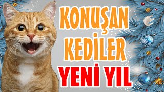 YENİ YIL ÖZEL KONUŞAN KEDİLER  EN KOMİK KEDİ VİDEOLARI [upl. by Joselyn698]