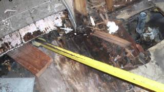 Incredible Bathroom Wood Floor Damage  Dont Leave Water on Your Floors [upl. by Yoko]