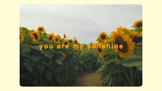 you are my sunshine 🌻 short cover [upl. by Gualterio]