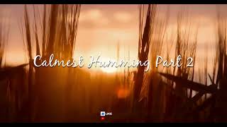 Nasheed  Calmest Humming Part 2 [upl. by Niret]