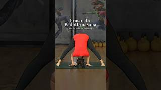 Prasarita Padottanasana  Yoga For Runners  Stretching For Runners  Yoga For Athletes VentunoYoga [upl. by Burman738]