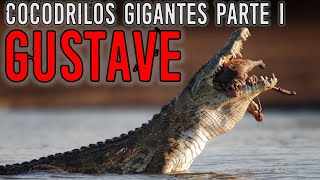 COCODRILOS GIGANTES PARTE 1 GUSTAVE  Criptozoologia REEDITADO [upl. by Nlyak339]