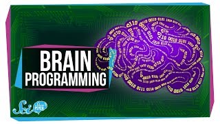 Did We Just Figure Out How to Program a Brain [upl. by Holcman]