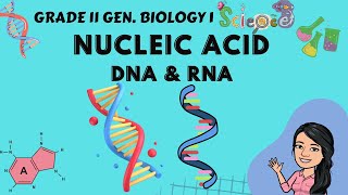 Nucleic Acid  DNA and RNA  Grade 11 Gen Biology 1 Grade 10 Science 4th Quarter Tagalog [upl. by Arim516]