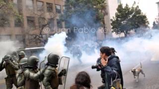 Perrosas Callejerosas manifestándose en Santiago de Chile [upl. by Svensen]