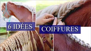 6 IDÉES COIFFURES CHEVAUX  Pour crinières longues [upl. by Esylla]