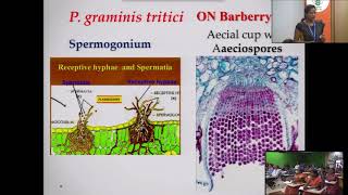 Life cycle of Puccinia graminis tritici  Gopika [upl. by Karen300]