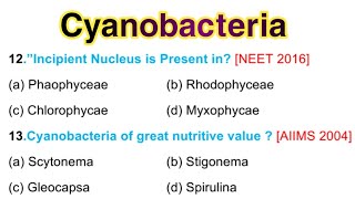 Cyanobacteria MCQ  Cyanobacteria bsc 1st Year in English [upl. by Bigod]