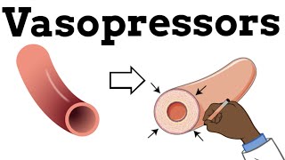 Vasopressors and Types of Shock [upl. by Reine]