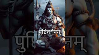 Mahamrityunjaya Mantra  Shiv Maha Mantra Powerful Shiv Mantra [upl. by Lontson678]