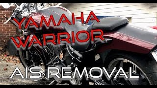 RS WarriorYamaha Warrior 1700 AIS removal [upl. by Ennaesor]