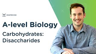 Carbohydrates Disaccharides  Alevel Biology  OCR AQA Edexcel [upl. by Gilbertina967]