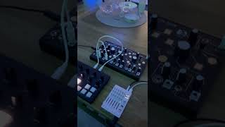 Make Noise Strega and Torso T1 with a bit of reverb from the TX6 electronicmusic [upl. by Alexandro]