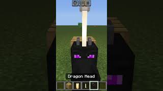 Minecraft dragon head trick 💯 [upl. by Meador]