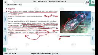 9 Sınıf Biyoloji  Yaşam Bilimi Biyoloji  1 🔬 [upl. by Samul923]