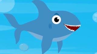 Baby Shark Song  Learn Animal Sounds for Toddlers  Kids Learning Videos [upl. by Galloway]