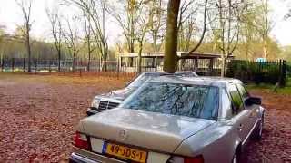 2x Mercedes 500E Autumn check [upl. by Benedicto]