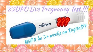 23DPO 3 weeks Clear Blue digital Pregnancy Test  Pulled apart and progression tests [upl. by Dougald]