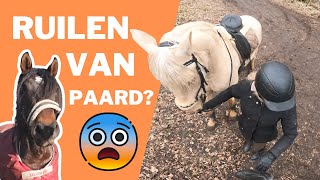 VAN PAARD RUILEN EERSTE KEER OP BAILARIN😳  WEEKVLOG 006 [upl. by Elysha]