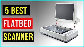 ✅Best Flatbed Scanner 2022  Top Best 5  Flatbed Scanner  Reviews [upl. by Esyla]