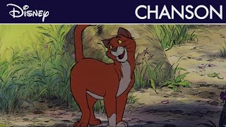 Les Aristochats  Thomas OMalley I Disney [upl. by Clapp]