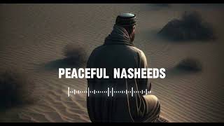 5 Soul healing Nasheeds 🤍 Arabic Nasheed  Muhammad Al Muqit nasheed [upl. by Inot]