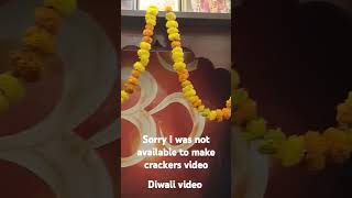 Diwali video 🪔🎇 [upl. by Loree]