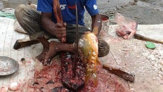 curfew fish cutting amazing fish cutting skill fish curry expert big viral fish [upl. by Ynobe793]