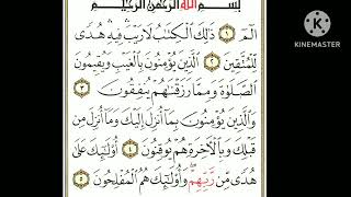 surah baqarah video viral [upl. by Yhtomot592]