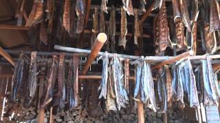 Traditional Smoked Salmon method in Alaska [upl. by Ainigriv]