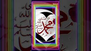 Allah hu akbar muhmmadﷺ shortfeed love [upl. by Nosirb218]