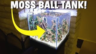 INSANE MARIMO MOSS BALL AQUARIUM SETUP  AQUASCAPE [upl. by Pepper]