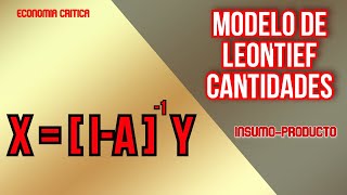 Modelo InsumoProductoLeontief Cantidades 1 [upl. by Joey]