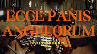 Hymn Ecce Panis Angelorum [upl. by Horter]