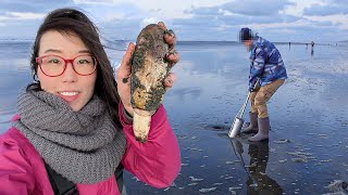 DIGGING RAZOR CLAMS and Cooking Them COASTAL FORAGING [upl. by Ardelia]