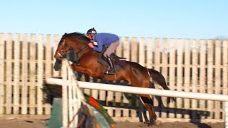 Lostintranslation Thistlecrack Native River  Colin Tizzard’s Stable Stars visit with Robbie Power [upl. by Shevlo]