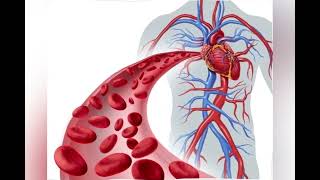 heart  coronary angiogram vs coronary angioplasty [upl. by Ayanej881]