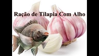 Ração De Tilapias Com Alho [upl. by Fredrika400]