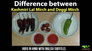 Difference between Kashmiri Red Chilli Powder amp Deggi Mirch  भारतीय मिर्चे  Everyday Life 66 [upl. by Haydon163]