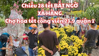 Chiều 28 tết chợ hoa tết Công viên 239 quận 1 BẤT NGỜ XẢ HÀNG RỒI ĐÀO CHẶT CÀNH Cúc đẹp 90k [upl. by Fulvia755]