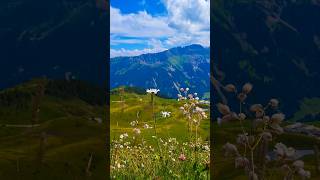 📍FlumserbergSt Gallen Switzerland🇨🇭flumserberg stgallen switzerland summer sommer musimpanas [upl. by Clapp]