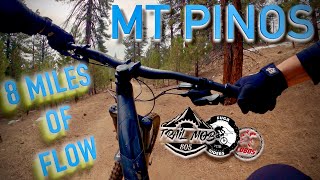 Mt Pinos Mountain Biking  Group Ride with TrailMOB805 Fugariders and LOBOSMTB [upl. by Lissner]