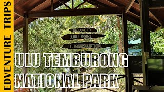 Brunei Ulu Temburong National Park  Day 1 [upl. by Isied674]