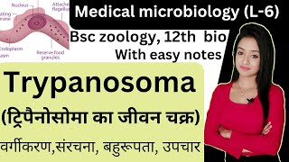 Medical Microbiology L6 life cycle of trypanosoma trypanosoma microbiology bsc zoology knowled [upl. by Ferri140]