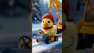 The cute duck works hard in the winter season🐥cuteduck entertainment [upl. by Weissberg]