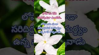 Jeevitha sathali sukthulu neethivakyalu telugu [upl. by Atsahc]