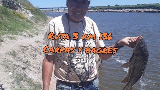 Pesca RP 3 km 136 rio salado [upl. by Ahtennek]