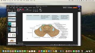 anatomy lect 3 oculomotor nerve [upl. by Egroeg989]