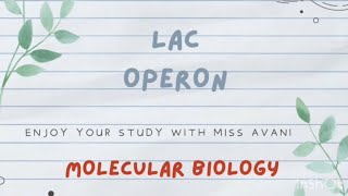 Lac Operon Molecular Biology [upl. by Sillad]