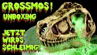 Groosmos  TRex  Dino Schädel mit Schaum  Slime  es wird schleimig  TOP  Unboxing [upl. by Ayortal]